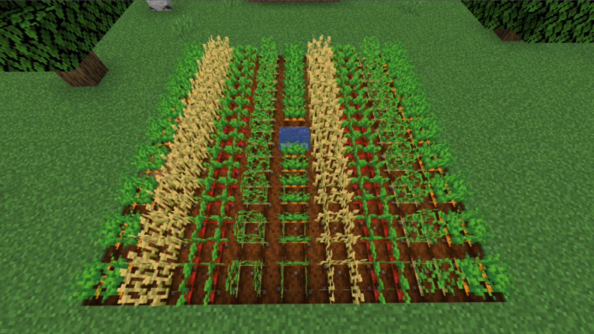 Minecraft Crop Farming Guide: Everything You Need To Know | Benettonplay